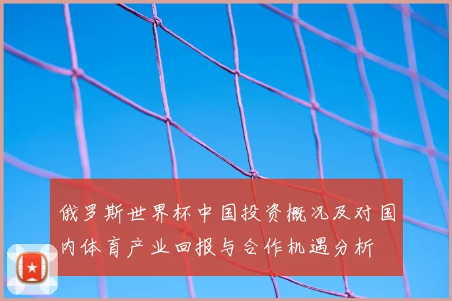 俄罗斯世界杯中国投资概况及对国内体育产业回报与合作机遇分析