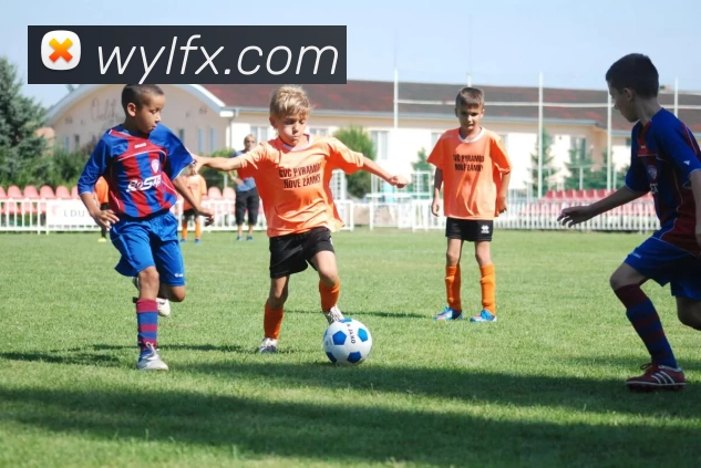 米兰体育网页版登录界面官方网站 - 登录入口发展历程